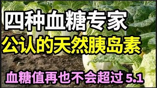 这四种食物，被血糖专家称为“天然胰岛素”、糖尿病的克星，每天换着吃，血糖值再也不会超过51！【本草养生大智慧】 [upl. by Catie]