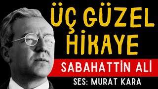 Sabahattin Ali Hikayeleri quotPazarcı ve İki Hikaye Dahaquot Türk Edebiyatı Sesli Kitap [upl. by Calandra]