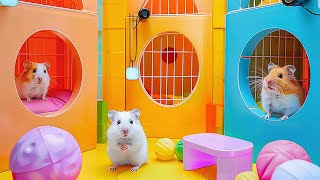 Hamster Escape the Prison Maze for Pet 🐹 Hamster Maze [upl. by Stranger651]