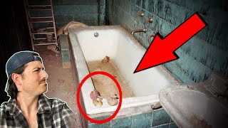 Top 3 photos with DISTURBING backstories  Part 10 [upl. by Katti]