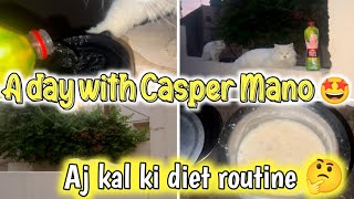 A Day With Casper amp Nimo  A DAY IN THE LIFE WITH MY CATS  The Casper Home Family [upl. by Irtak]