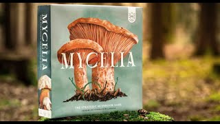 Mycelia  Gameplay overview [upl. by Lorrimor490]