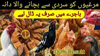 Sardiyon mein murgiyon ki khurak  Murgiyon ko garam rakhne wali khurak  Bajra  Anda  ChickenFeed [upl. by Oiliruam]