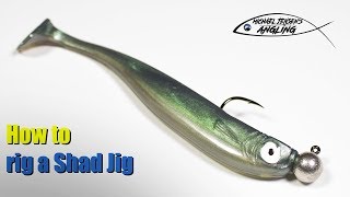 How to rig a Shad Jigswimbait  Basic angling tips [upl. by Takara888]