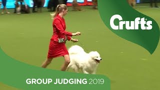 Pastoral Group Judging And Presentation  Crufts 2019 [upl. by Gwendolin]