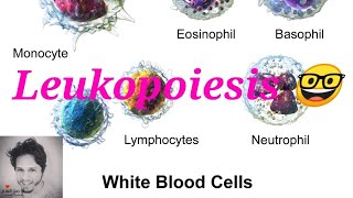 تكوين خلايا الدم البيضاء  leukopoiesis [upl. by Uzia838]