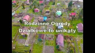 Rodzinne Ogrody Działkowe to miejca unikatowe dionp [upl. by Michail]