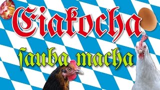 Bayerischer Haushaltstipp Eiakocha sauba macha [upl. by Nailimixam773]