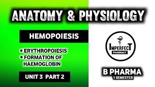 Hematopoiesis  Erythropoiesis  Human Anatomy And Physiology  HAP  B Pharma [upl. by Viv]