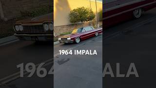 64 Impala🔥 lowrider classic carmodification oldschool automobile oldies westcoast impala [upl. by Nettle]