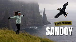 DOVE vedere i PUFFIN sull’isola più DESERTA delle FAROE 🐧 [upl. by Farnsworth]