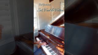 “Sol Vind amp Vatten” by Ted Gärdestad Piano Cover of a Swedish classic English Sun Wind amp Water [upl. by Mientao]