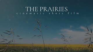 THE PRAIRIES  cinematic short film [upl. by Nema]