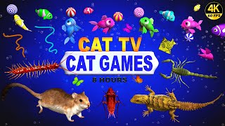 CAT GAMES  ULTIMATE CAT TV COMPILATION FOR FELINE FRIENDS  GAMES FOR CATS 😺 4K 8HOURS [upl. by Rhine]