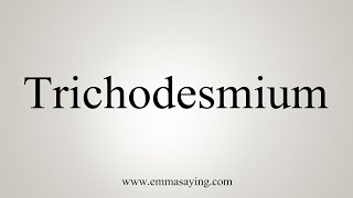 How To Say Trichodesmium [upl. by Nylhtak339]