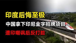 印度又羡慕了？中国拿下印尼73亿金字招牌项目，5年就完成通车 [upl. by Atteuqahc]