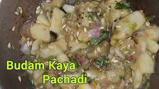 BudamKayaదోసకాయ Pachadi Recipe food pachadi indianfood videos [upl. by Allimak121]