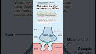 Medications that affect nondepolarizing NMBAs [upl. by Enailuj876]