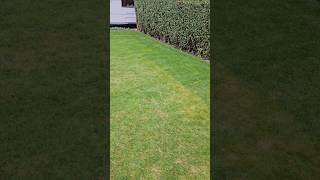 Scarifying and Aerating  do you really need to do them [upl. by Serica]