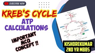 Krebs cycleATP calculationNEET Biology class 11 [upl. by Anahtor]