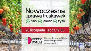 Nowoczesna Uprawa Truskawek  plon jakość zysk [upl. by Ewart]