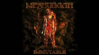 Meshuggah  The Abysmal Eye Solipsis Remaster [upl. by Crelin]