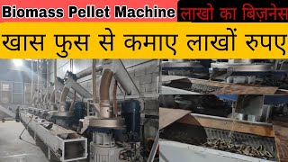 Biomass pellet machine  wood pellet making machine  Full Details  Subsidy  Price [upl. by Galanti]