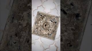 Crazy Shower Drain Clog Watch This Satisfying CleanUp [upl. by Etyak336]