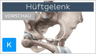 Hüftgelenk Aufbau und Funktion Vorschau  Anatomie des Menschen  Kenhub [upl. by Ellerol]