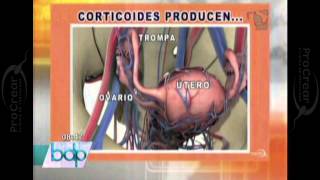 PROCREAR ¿La artritis afecta la fertilidad [upl. by Heber]