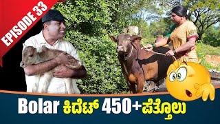 Bolar Vs Nandalike  Bolar ಕಿದೆಟ್ 450 ಪೆತ್ತೊಲು│Private Challenge 30S3│EP  33│Tulu Comedy [upl. by Adahsar883]