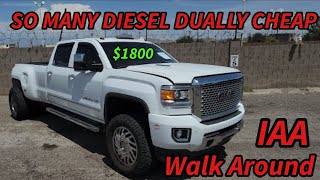 So Many Diesel Duallys At Auction IAA Walk Around [upl. by Tzong]