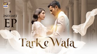 Tark e Wafa 2nd Last Episode  21 Sep 2024 English Subtitles  ARY Digital Drama [upl. by Hourigan]