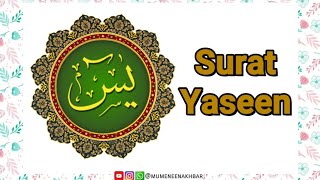 Surah Yaseen يس‎ سورة  Quran Surah  Dawoodi Bohra  Mumeneen Akhbar [upl. by Neleb]