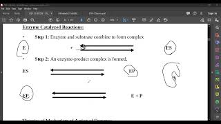 L15 Mechanism of Action of Enzymes [upl. by Alamac]