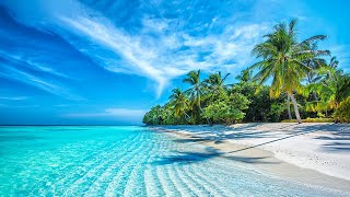 Beautiful Relaxing Music  Stop Overthinking Mind Calm Serene Seascapes for Ultimate Relaxation [upl. by Meier624]