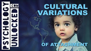 Does nationality affect relationships Cultural Variations of Attachment  Psychology Revision Video [upl. by Eiramrefinnej]