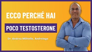 Medico 3 Errori che Distruggono il Testosterone Podcast Urgente per Uomini  The Antidote Podcast [upl. by Eckblad280]