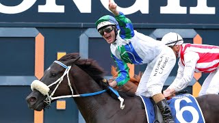 Moonee Valley Racing Preview G1 Manikato Stakes Night 27924  Sky High Horse Racing [upl. by Nyladnor]