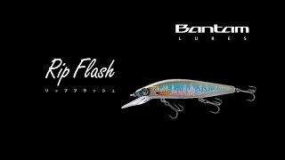 バンタム リップフラッシュ 115FMD［Bantam Rip Flash 115FMD］  そのギミックを解説！ [upl. by Hedvig]