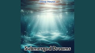 Submerged Dreams [upl. by Felike]