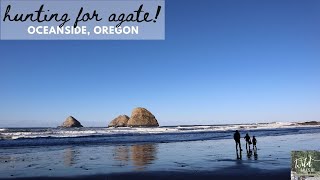 Hunting for Agate in Oceanside  Family Travel on the Oregon Coast [upl. by Aerda568]