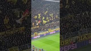 Südtribüne Dortmund vs Sturm Graz 05112024 [upl. by Cordy]