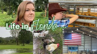 Life in Florida  Large Family Vlog [upl. by Comstock81]