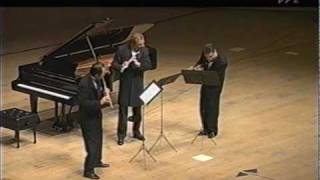 Flute Trio in G minor Op 13 No 2  Friedrich Kuhlau [upl. by Eilerua391]