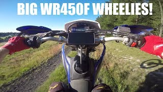 Bringing a Christmas Tree home on a WR450F Wheelies [upl. by Loseff]