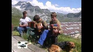 Schwyzerörgeli auf der Alp Binn [upl. by Ezaria]