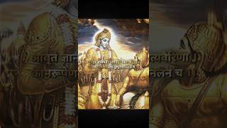 Lord Krishnas Incredible Speech 🚩🔥 shorts lordkrishna shreekrishna hinduism [upl. by Anaitat]