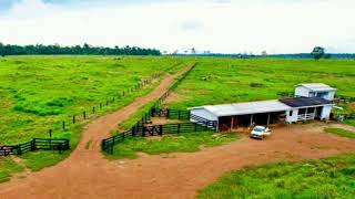 Fazenda à venda no Estado de Rondônia [upl. by Berta]