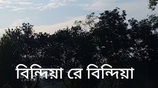 bindiya re bindiyaবিন্দিয়া রে বিন্দিয়া লাল শাড়ি পিন্দিয়া [upl. by Enilatan]